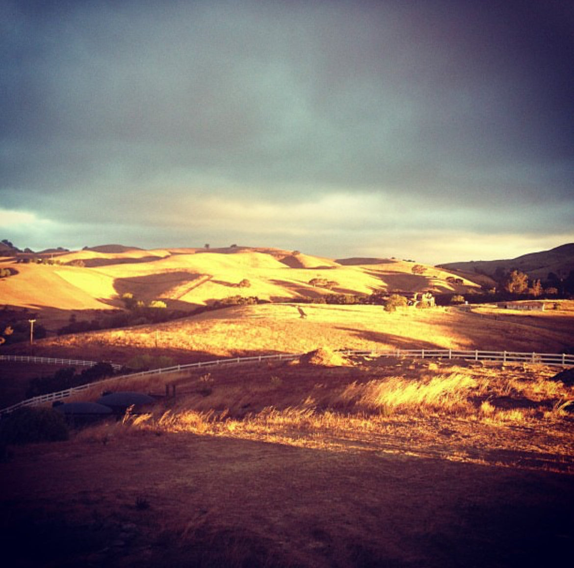 This is a photo is a sunlight view of gold hills as seen from the back of the house